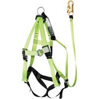 FBH-10000A6440-4 Harnais & longe classe A de 4' avec capacit&eacute; de 350 lb, Combinaison harnais/longe Groupe Generik