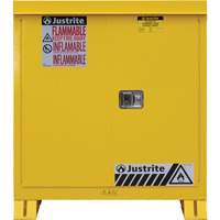 Armoire ext&eacute;rieure pour produits inflammables, 30 gal., 2 Porte(s), 43" La x 44" h x 18" p Groupe Generik