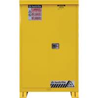 Armoire ext&eacute;rieure pour produits inflammables, 45 gal., 2 Porte(s), 43" La x 65" h x 18" p Groupe Generik
