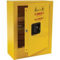 Armoire de s&eacute;curit&eacute; miniature pour produits inflammables, 2 gal., 1 Porte(s), 17" La x 22" h x 8" p Groupe Generik