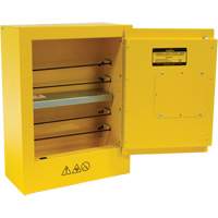 Armoire de s&eacute;curit&eacute; miniature pour produits inflammables, 2 gal., 1 Porte(s), 17" La x 22" h x 8" p Groupe Generik