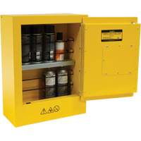 Armoire de s&eacute;curit&eacute; miniature pour produits inflammables, 2 gal., 1 Porte(s), 17" La x 22" h x 8" p Groupe Generik