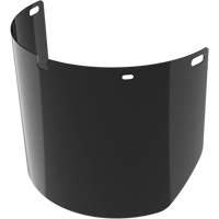 Lentille de rechange pour visi&egrave;re compl&egrave;te sans rev&ecirc;tement, Polycarbonate, Teinte 5,0 Groupe Generik