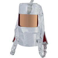 Heat Reflective Hood with Clear Gold Window Groupe Generik