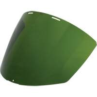 Dark Green Visor Groupe Generik
