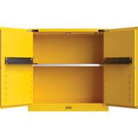 Armoire de s&eacute;curit&eacute; pour produits inflammables Utili-Guard+, 30 gal., 1 Porte(s), 43" La x 44" h x 22" p Groupe Generik