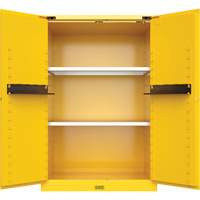 Armoire de s&eacute;curit&eacute; pour produits inflammables Utili-Guard+, 45 gal., 2 Porte(s), 43" La x 65" h x 22" p Groupe Generik