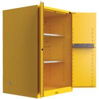 Armoire de s&eacute;curit&eacute; pour produits inflammables Utili-Guard+, 45 gal., 2 Porte(s), 43" La x 65" h x 22" p Groupe Generik