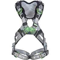 V-FIT Full Body Safety Harness, CSA Certified, Class AEP, Standard, 400 lbs. Cap. Groupe Generik