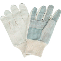Gants de travail d'usage standard, Grand, Paume en Cuir de vache refendu Groupe Generik