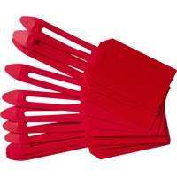 &eacute;tiquettes de cadenassage vierges en plastique, Plastique, 3-1/4" la x 5-4/5" h, Vierge Groupe Generik