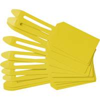 &eacute;tiquettes de cadenassage vierges en plastique, Plastique, 3-1/4" la x 5-4/5" h, Vierge Groupe Generik