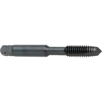 Taraud &agrave; entr&eacute;e h&eacute;licoidale, Acier rapide au cobalt, Filet de 8-32, 2-1/8" l Groupe Generik