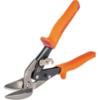 Compound Action Snips Groupe Generik