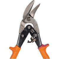 Compound Action Snips Groupe Generik