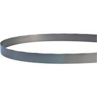 Lame soud&eacute;e pour scie &agrave; ruban, Bim&eacute;tal, 14' lo x 1" la x 4 - 6 dents par pouce Groupe Generik