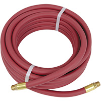 Heavy-Duty Air Hose, Air, PVC, 3/8" dia. x 25', 300 psi, 3/8" NPT Groupe Generik