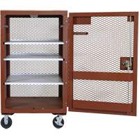 Mobile Mesh Cabinet, Steel, 22 Cubic Feet, Red Groupe Generik