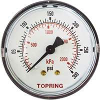 Replacement Pressure Gauge, 2" , 0 - 175 psi, Back Mount, Analogue Groupe Generik