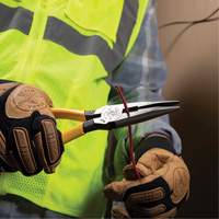 Long Nose With Side Cutter, 8-7/16" L Groupe Generik