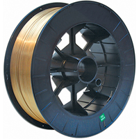 Stainless Steel Gas Shield Flux-Cored Wire, 0.045" Dia., 309LT1-1, 25 lbs. Groupe Generik
