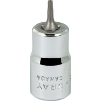 Douille &agrave; embout, Torx, T8 x 2-1/8" lo, Prise 3/8" Groupe Generik