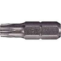 Tamper Insert Bit Groupe Generik