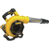 FlexVolt&reg; Handheld Blower Kit Groupe Generik