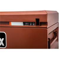 Site-Vault Chest, 30" x 20" x 19-3/4", Steel, Orange Groupe Generik