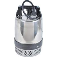 FLS/FS Series Utility Pump, 1 HP, 80 GPM, 115 V, 10 A Groupe Generik