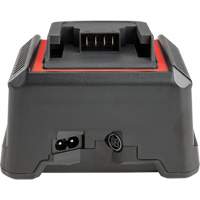 2.5 Ah & 5.0 Ah Battery Charger, 120 V, Lithium-Ion Groupe Generik
