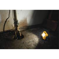 12V/20V Max Compact Task Light, LED, 2000 Lumens Groupe Generik