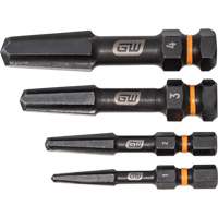 Bolt Biter Screw Extractor Set, High Speed Steel, 4 Pieces Groupe Generik