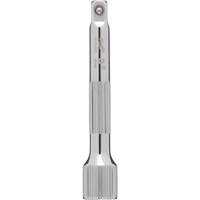 Rallonge de prise, Prise 1/4", 3" lo Groupe Generik