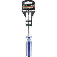 Tournevis &agrave; fente bleu transparent avec bandes, Tige de 3/16", Ronde, Prise en Plastique Groupe Generik