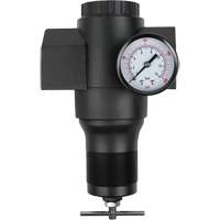 Aluminum Regulator, 1-1/2" NPT, 300 psi Max. PSI, In Line Groupe Generik