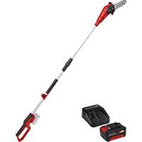 Cordless Pole Chain Saw with 4Ah Battery & Charger Starter Kit Groupe Generik