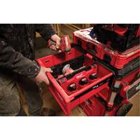 Diviseur pour boîtes &agrave; outils &agrave; tiroirs Packout Groupe Generik