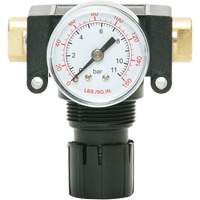 MODULAIR 200 Acetal Piston Regulator, 1/4" NPT, 150 PSI Max. PSI, In Line/Modular Groupe Generik