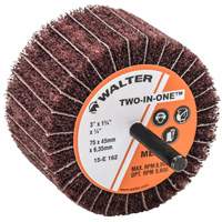Meule &agrave; lamelles abrasives Two-In-One Groupe Generik