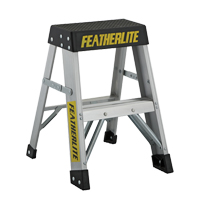 Industrial Extra Heavy-Duty Step Stool/Ladders, 2', Aluminum, 300 lbs. Capacity, Type 1A Groupe Generik