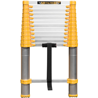Telescopic Ladder, 3' - 12', Aluminum, 250 lbs. Capacity, Type 1 Groupe Generik
