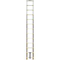 Telescopic Ladder, 3' - 12', Aluminum, 250 lbs. Capacity, Type 1 Groupe Generik