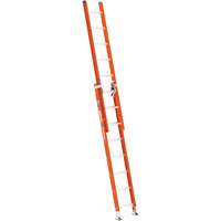 &eacute;chelle coulissante BuildMan, Cap 300 lb, 16' h, Calibre 1A Groupe Generik