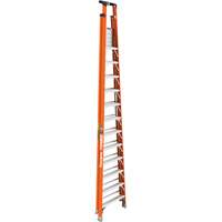 Escabeau avec plateforme Safespace, 12', Cap. De 300 lb Groupe Generik