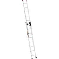&eacute;chelle coulissante Jobsite Series, Cap 200 lb, 16' h, Calibre 3 Groupe Generik