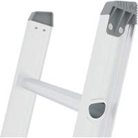 &eacute;chelle coulissante Jobsite Series, Cap 225 lb, 32' h, Calibre 2 Groupe Generik