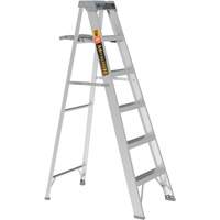 Step Ladder with Paint Tray, 6', Aluminum, 225 lbs. Capacity, Type 2 Groupe Generik