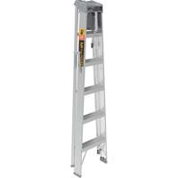 Step Ladder with Paint Tray, 6', Aluminum, 225 lbs. Capacity, Type 2 Groupe Generik
