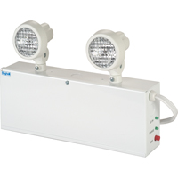 Lampes de secours Nova, Acier, Incandescente, 120 V - 347 V Groupe Generik